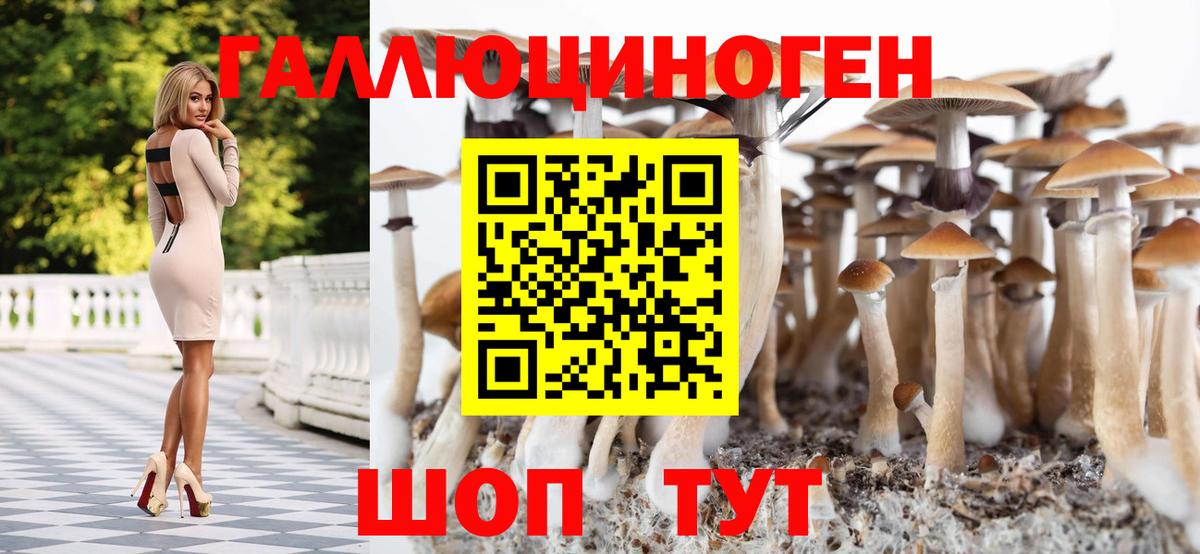 Псилоцибиновые грибы мицелий Татарск