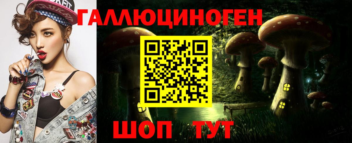 Псилоцибиновые грибы Psilocybine cubensis  Вход с VPN  Татарск 